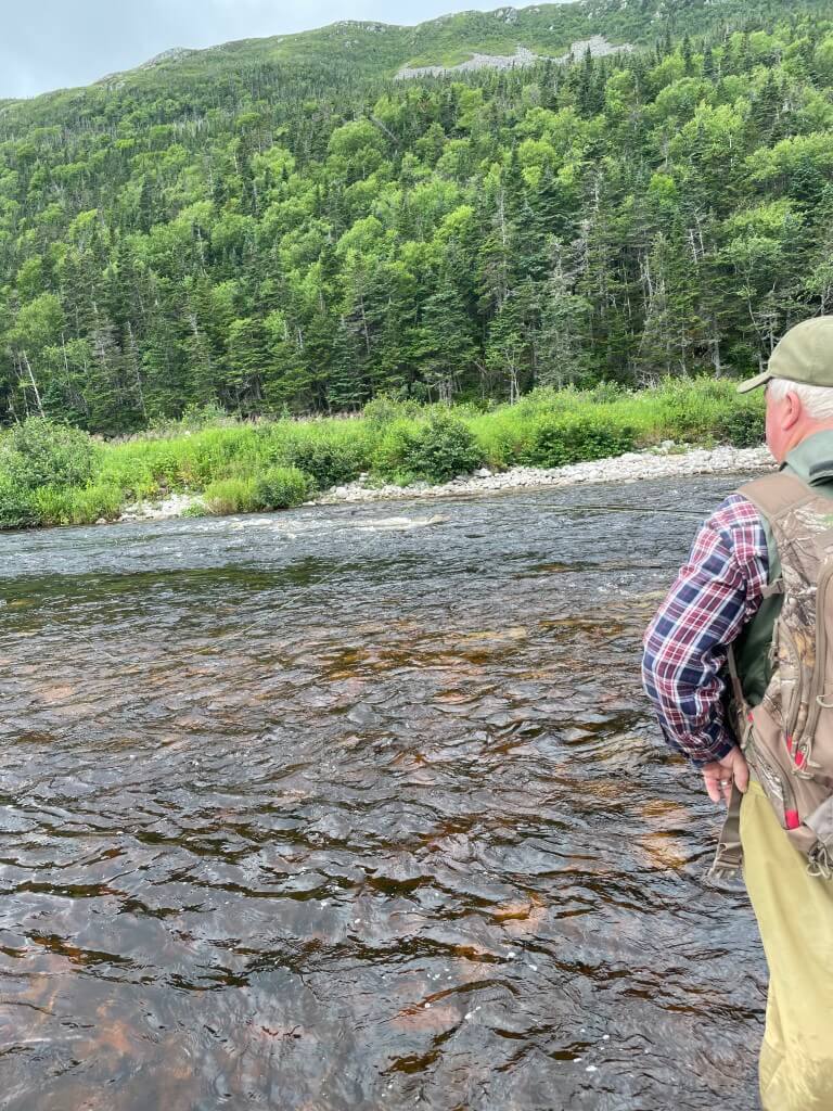 Atlantic Salmon Fishing Toronto