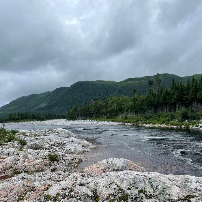 Atlantic Salmon Fishing in Newfoundland