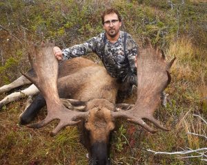 Moose hunt