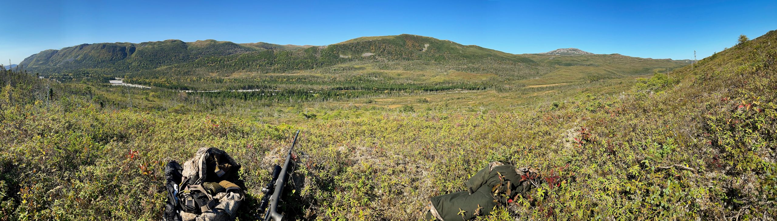 black bear hunting