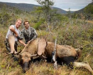 moose hunting practices