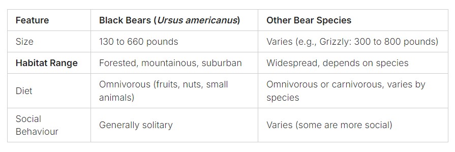 black bear behavior habitat table