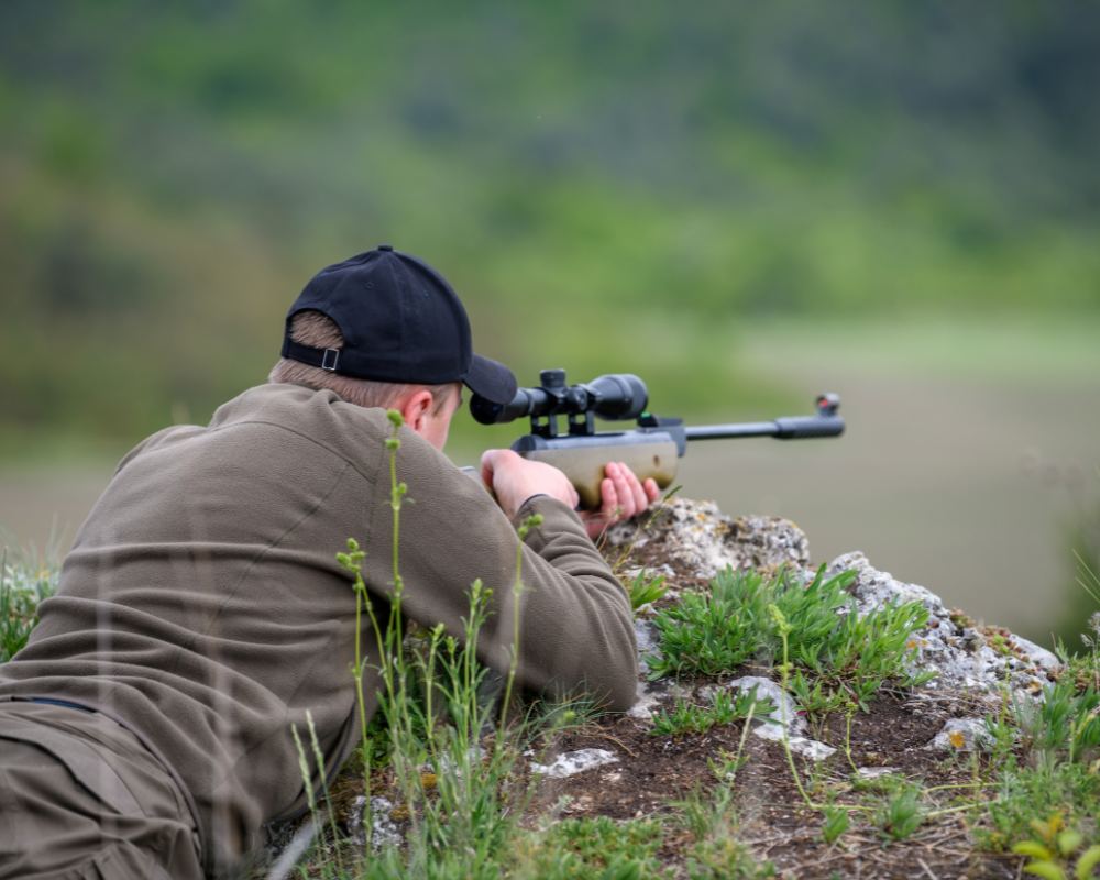 Bear hunting in Newfoundland