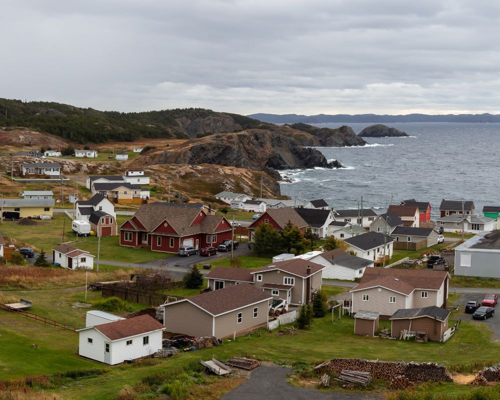 Newfoundland Bear Adventure