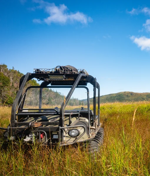 best black bear hunting vermont