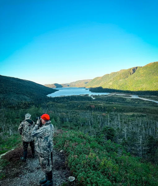 hunting in maine