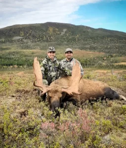 moose hunting maine