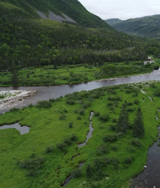 remote hunting new hampshire