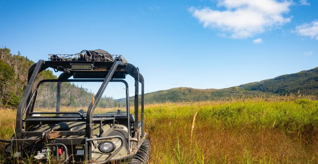 staying safe when moose hunting