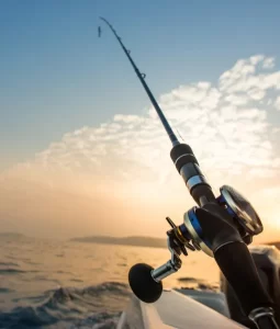 salmon fishing newfoundland virginia