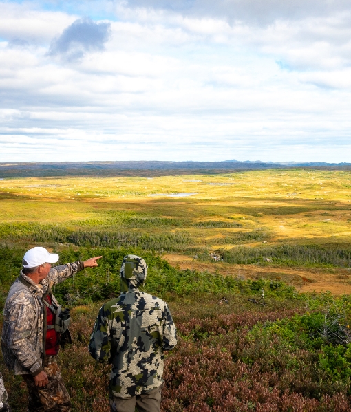 moose hunting trips in south carolina