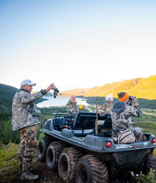 moose bear hunting Georgia