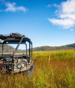 Garia Bay banner trophy hunting south carolina