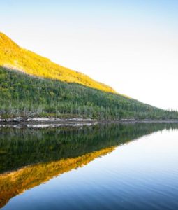 atlantic salmon fishing trip