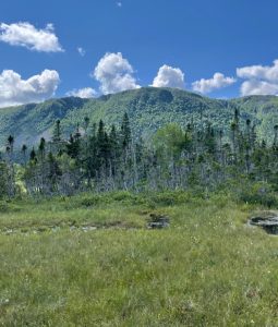 guided hunting tours newfoundland indiana
