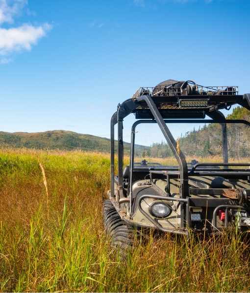 moose and black bear hunting indiana