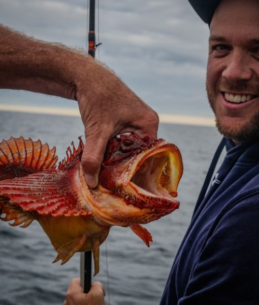 newfoundland hunting guide